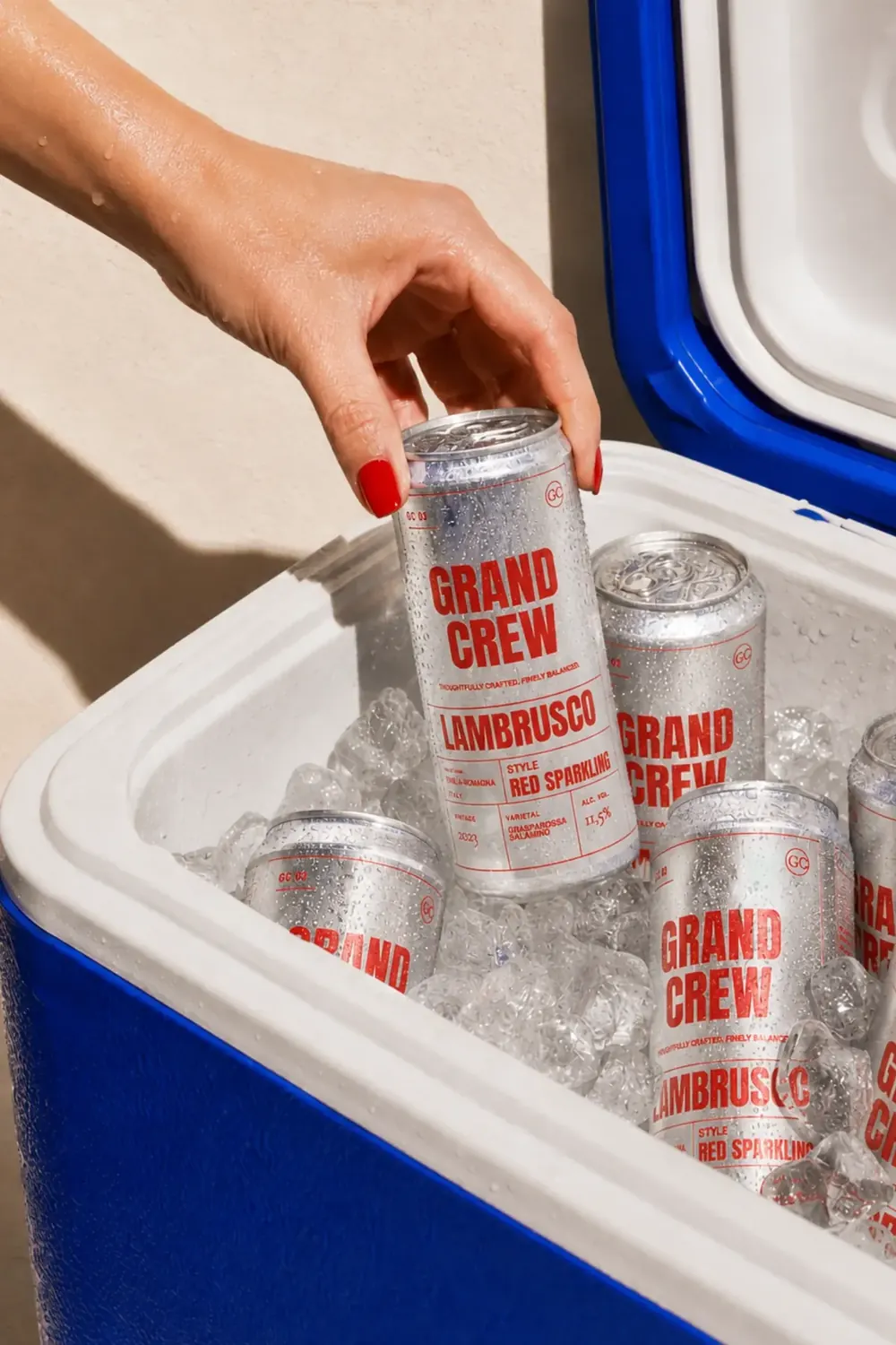 Soft drink cans chilled and ready to serve